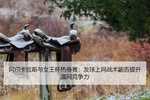 a-er-ka-la-si-yu-nv-wang-bei-re-shen-sai-fa-qiu-shang-wang-zhan-shu-neng-fou-ti-sheng-wen-wang-jing-zheng-li-2-988.jpg