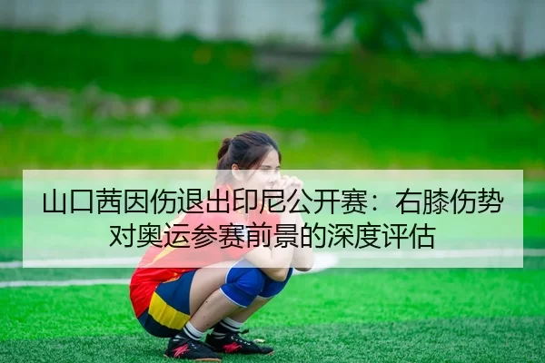 shan-kou-qian-yin-shang-tui-chu-yin-ni-gong-kai-sai-you-xi-shang-shi-dui-ao-yun-can-sai-qian-jing-de-shen-du-ping-gu-2-782.jpg